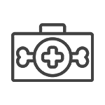 Pet Care / Supplies - Pet Apparel